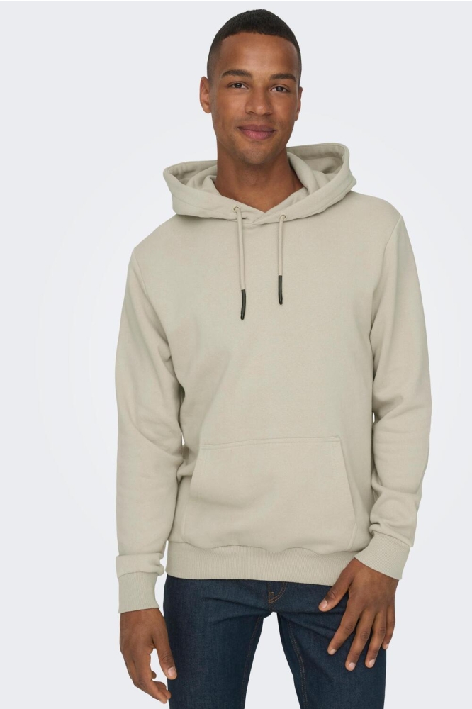 ONSCERES HOODIE SWEAT NOOS 22018685 Silver Lining